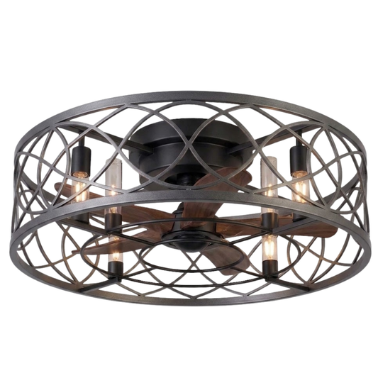 20-Inch Flush Mount Caged Ceiling Fan with Light and 6 Speed Remote