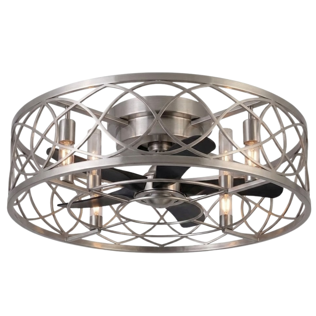 20-Inch Flush Mount Caged Ceiling Fan with Light and 6 Speed Remote