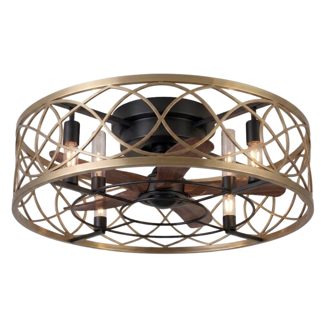 20-Inch Flush Mount Caged Ceiling Fan with Light and 6 Speed Remote
