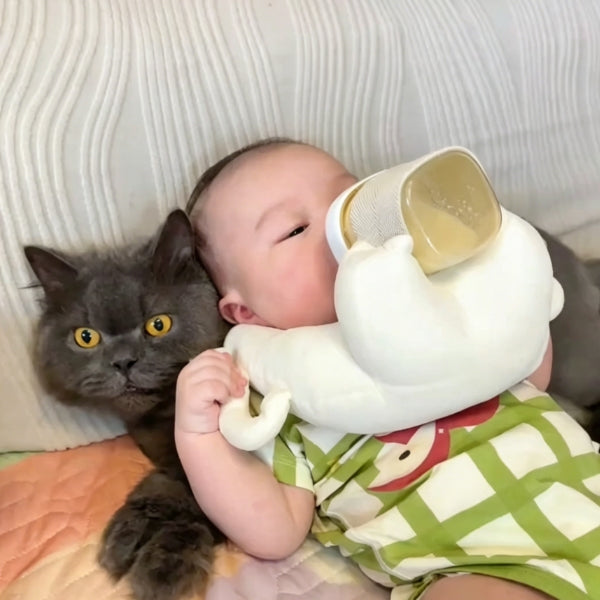 Huggleo Feeding Support Cushion