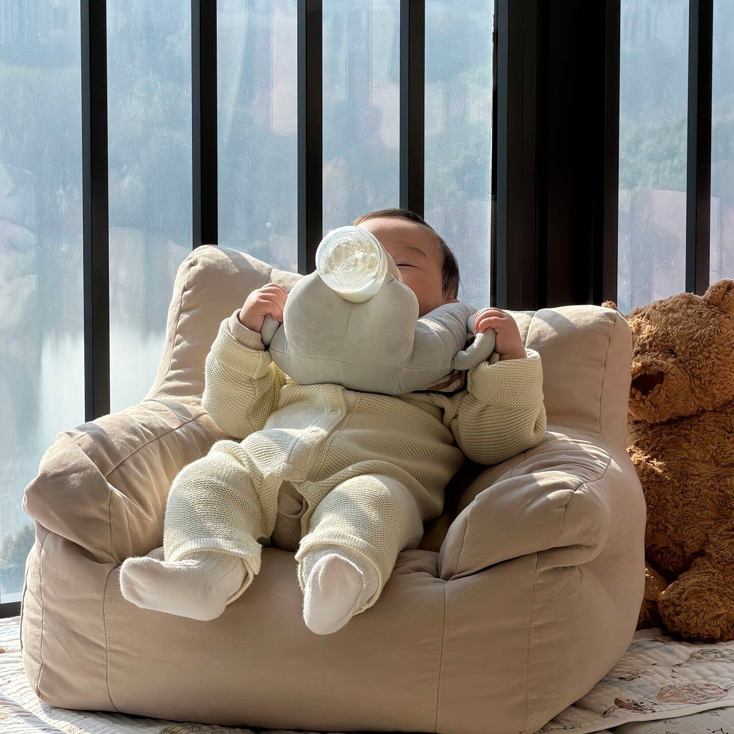 Huggleo Feeding Support Cushion
