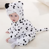 Dalmatian dog