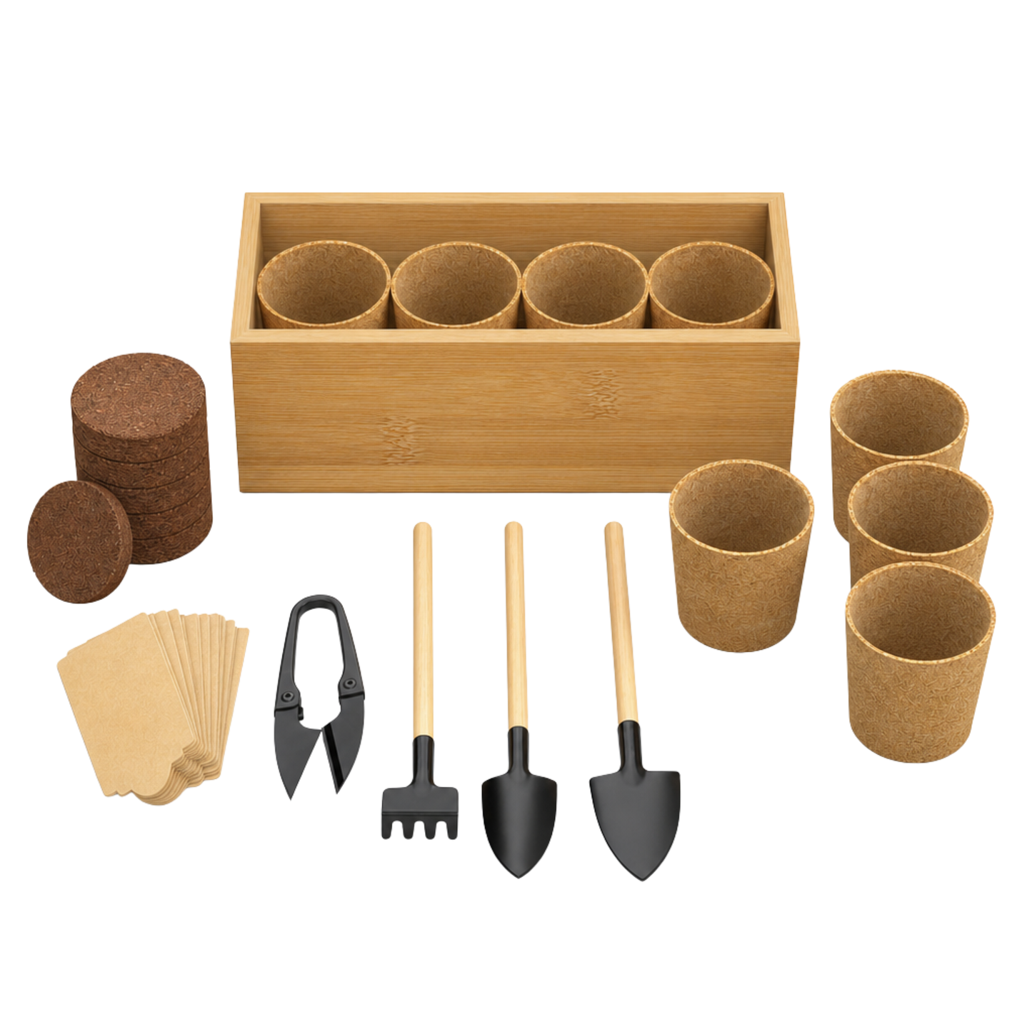 Bonsai Planting Starter Kit with Wooden Box and Garden Tools