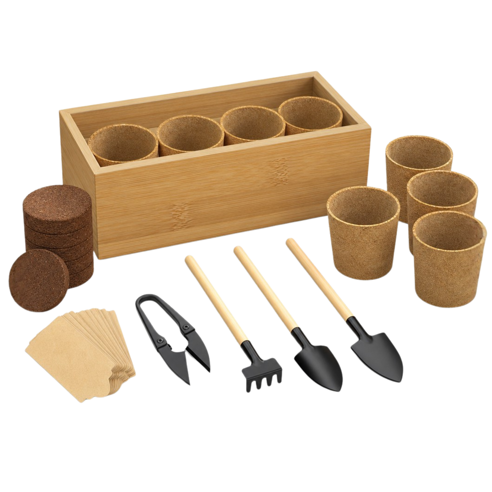 Bonsai Planting Starter Kit with Wooden Box and Garden Tools
