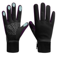 Black and Purple