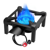 Single Burner