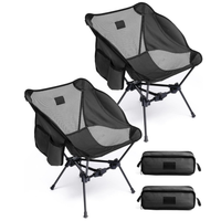 Set of 2 Chairs