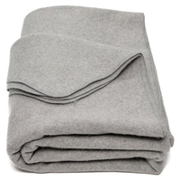 Stone Gray